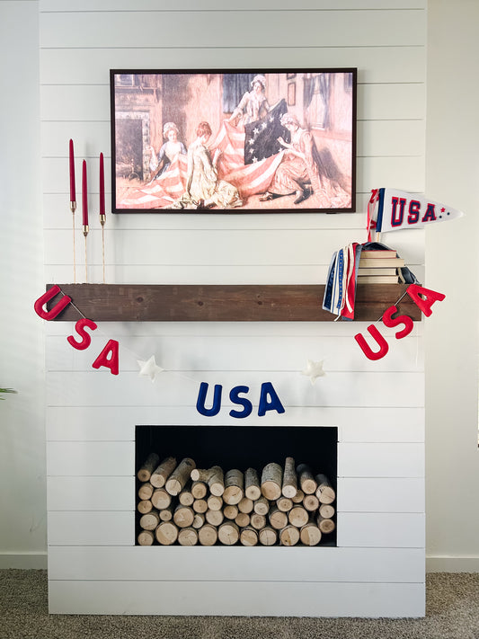 USA Puffy Felt Banner